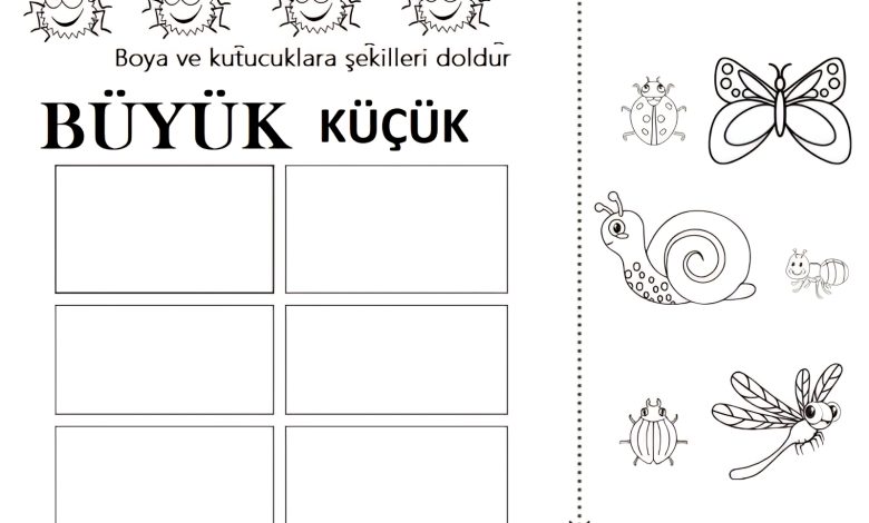 büyük küçük kavramı etkinlikleri okul öncesi