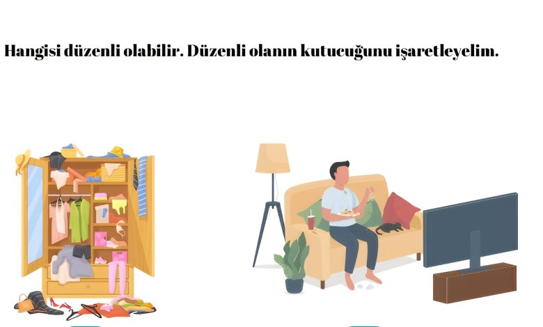 düzenli dağınık kavramı etkinlikleri