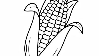 mısır boyama sayfası okul öncesi